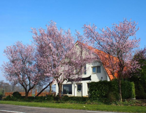  B&B Sagenland  Harbrinkhoek